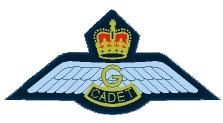Air Cadet Glider Pilot
     Wing