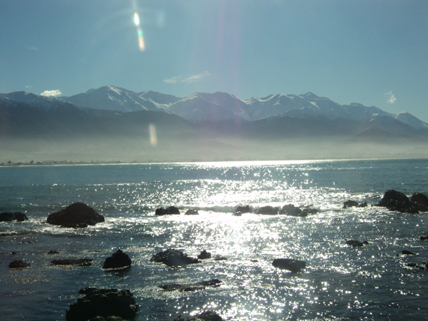 A pretty picture at the place where we found the seals.